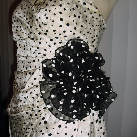 NO longer available - Picture 4 of 6